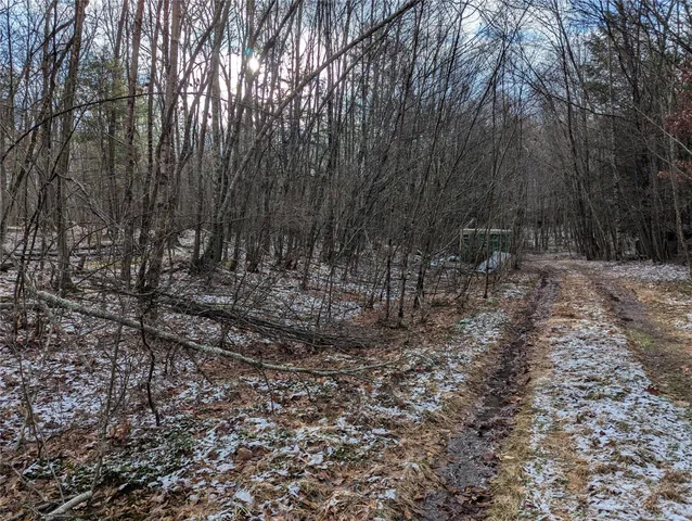 a view of outdoor space with trees