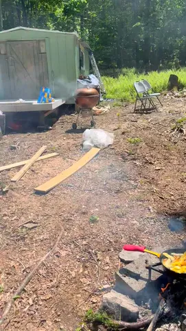 a view of a forest with lots of trees