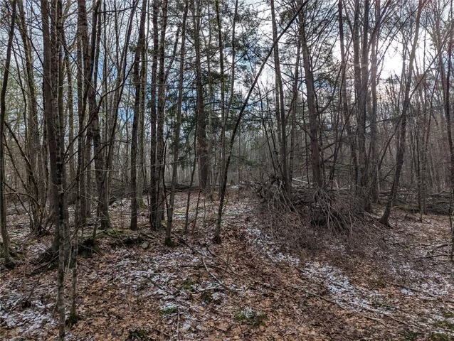 a view of outdoor space with lots of trees