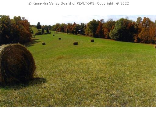 0 Angerona Road Evans, WV 25241 - Photo 1 of 8 Land.