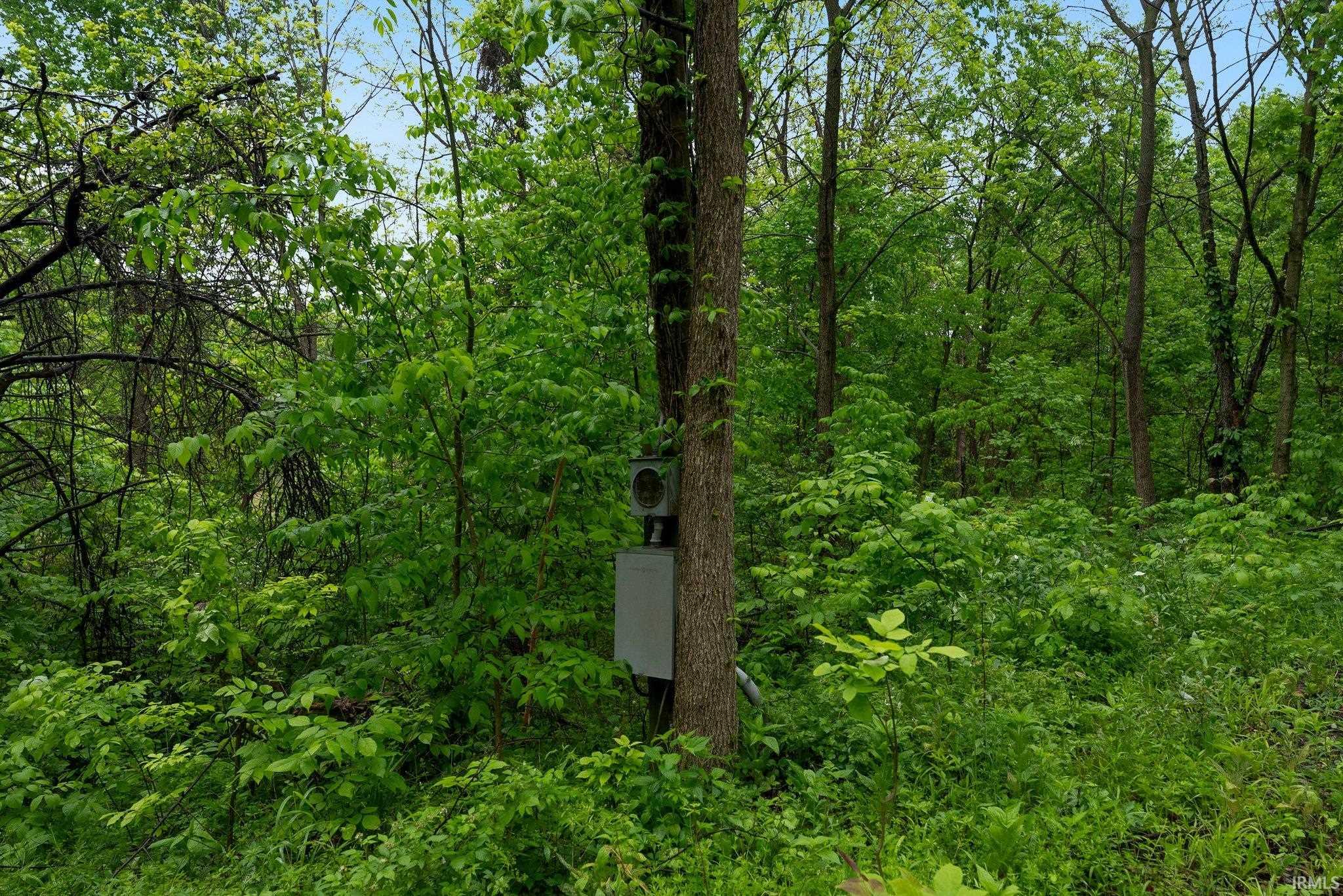 841 Highway 5 Larwill, IN 46764 - Photo 12 of 13