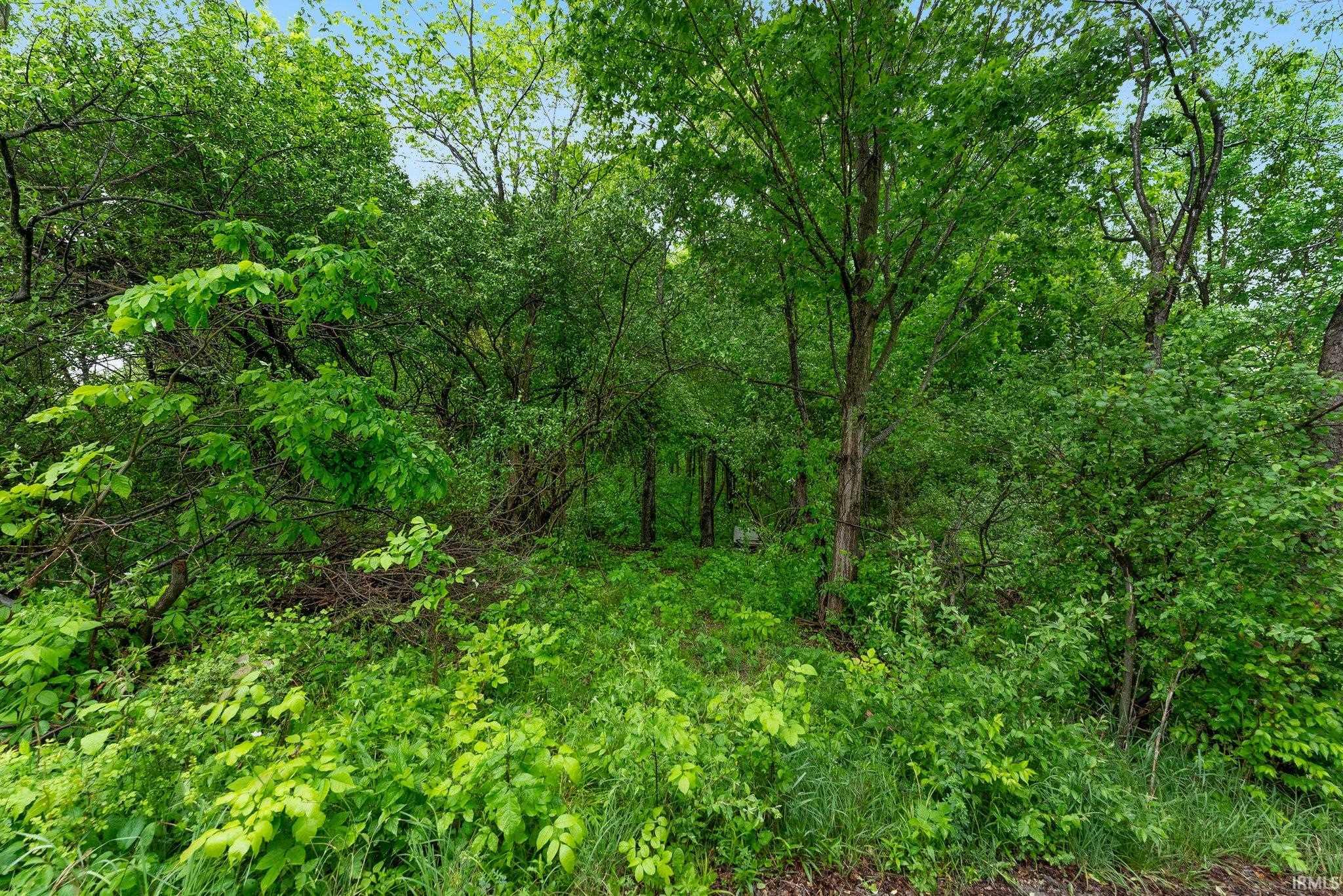 841 Highway 5 Larwill, IN 46764 - Photo 9 of 13