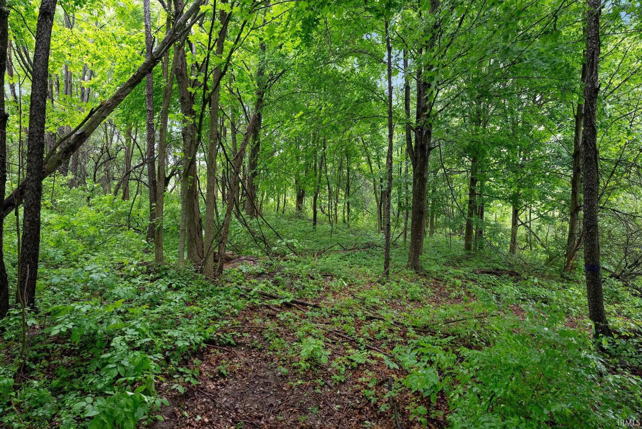 841 Highway 5 Larwill, IN 46764 - Photo 10 of 13