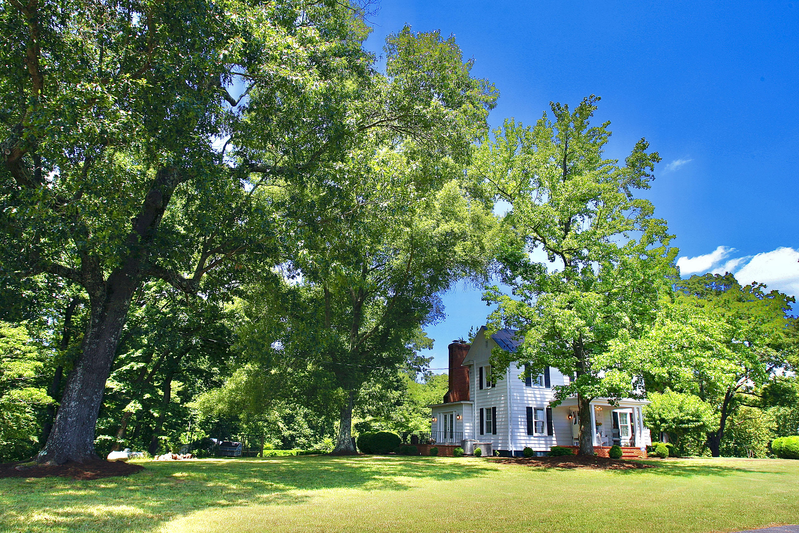 151 Ellis Road Hardy, VA 24101 - Photo 106 of 131 _V4B2328.jpeg