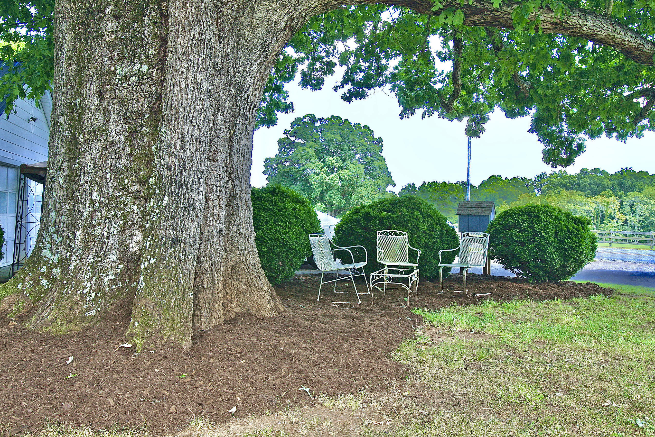 151 Ellis Road Hardy, VA 24101 - Photo 112 of 131 _V4B2340.jpeg