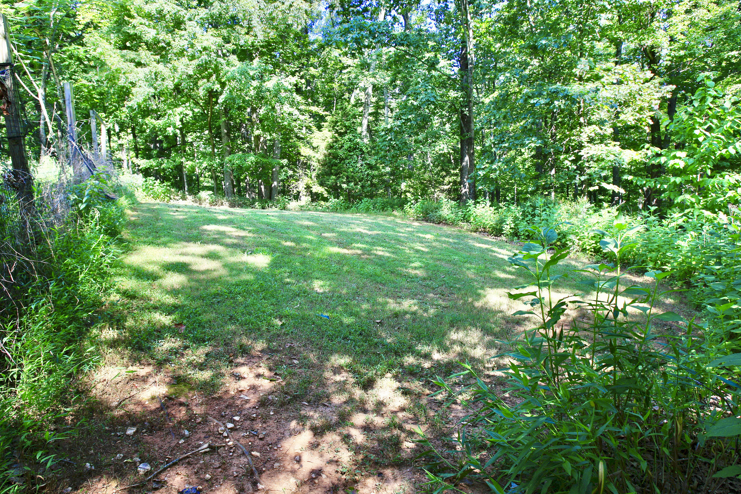 151 Ellis Road Hardy, VA 24101 - Photo 24 of 131 _V4B2082.jpeg