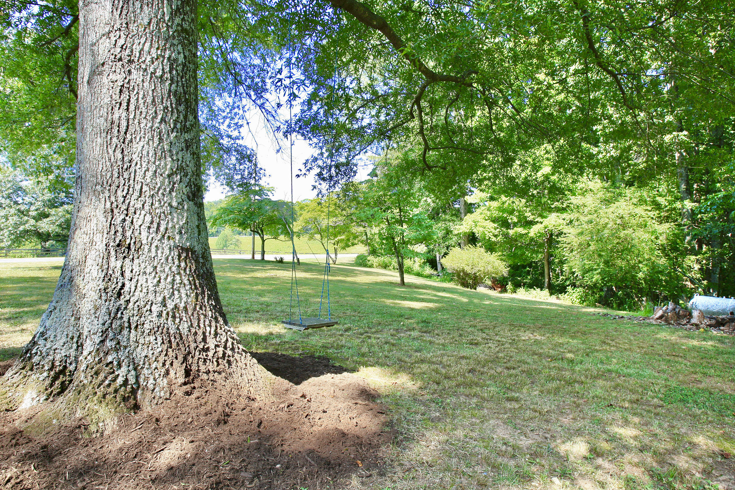 151 Ellis Road Hardy, VA 24101 - Photo 38 of 131 _V4B2103.jpeg