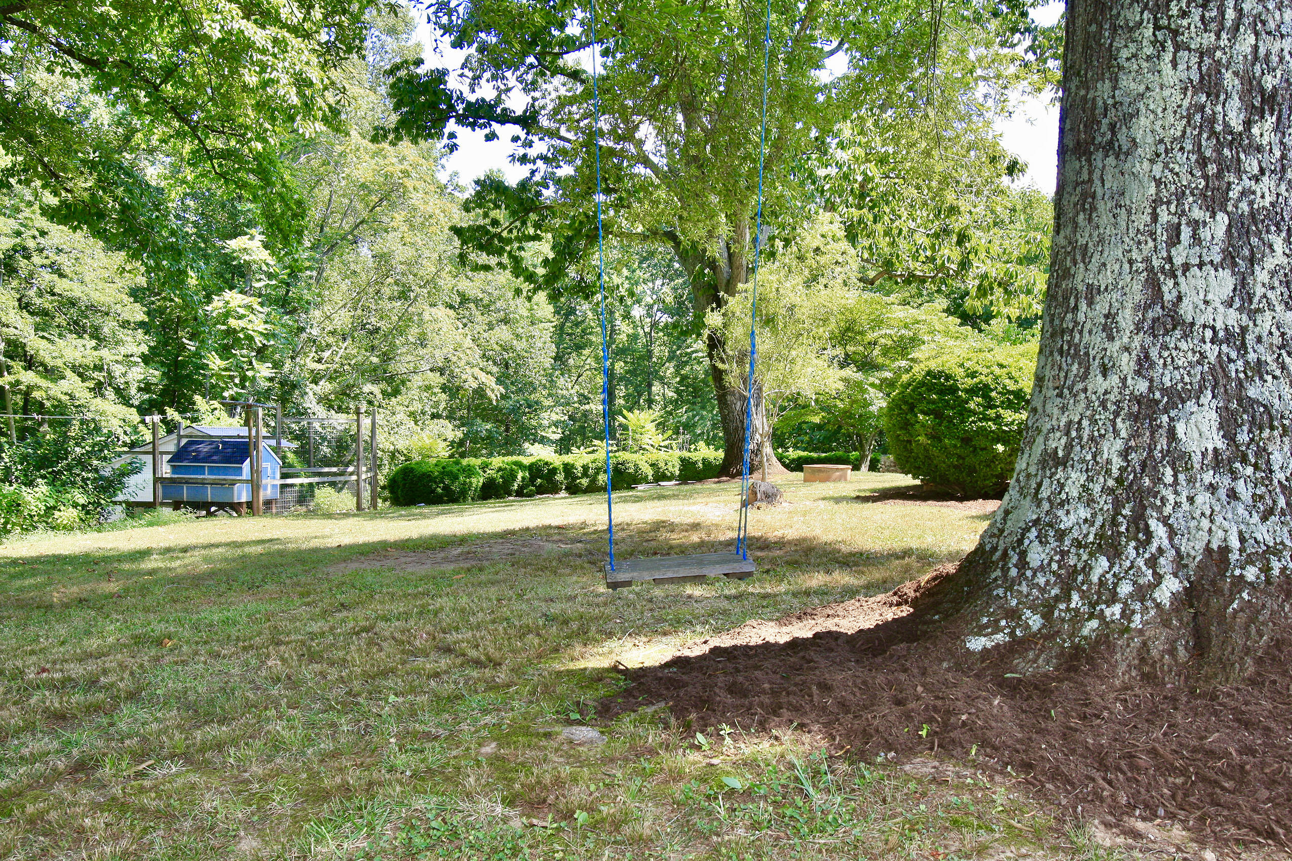 151 Ellis Road Hardy, VA 24101 - Photo 39 of 131 _V4B2104.jpeg