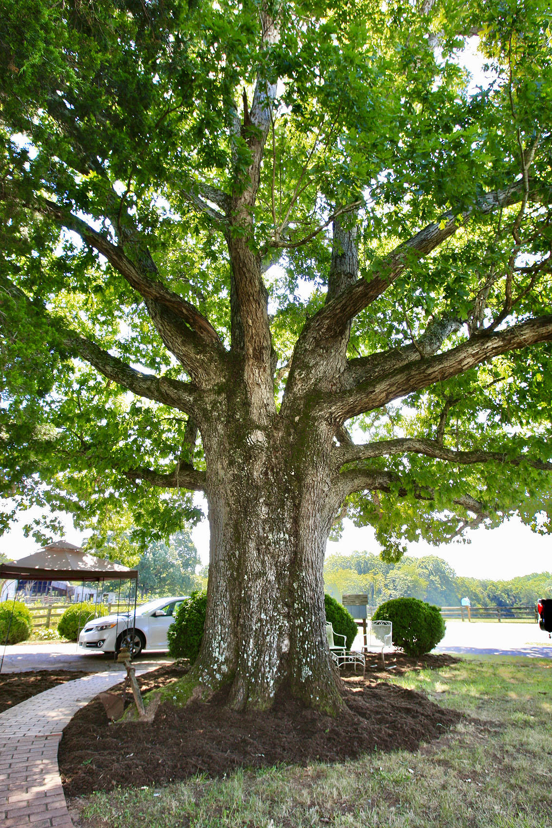 151 Ellis Road Hardy, VA 24101 - Photo 46 of 131 _V4B2125.jpeg