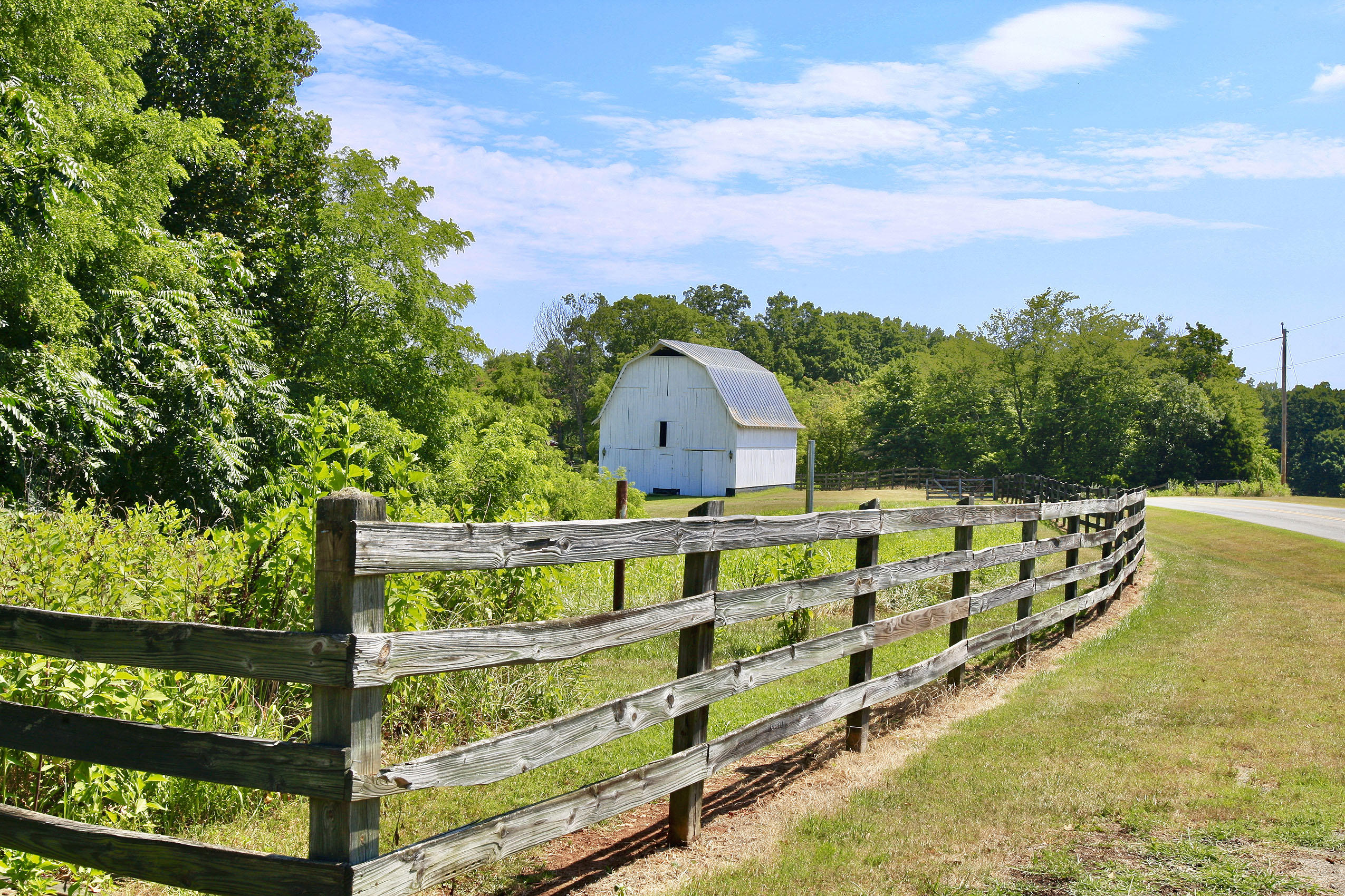 151 Ellis Road Hardy, VA 24101 - Photo 48 of 131 _V4B2130.jpeg