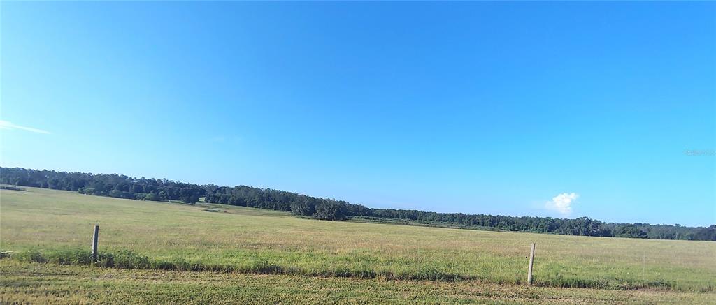 Covington Road Dade City, FL 33525 - Photo 8 of 14 a view of lake and mountain