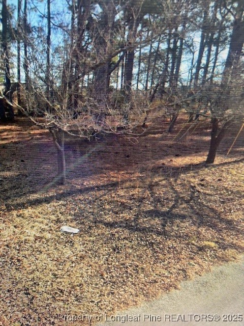 South 4th Street Spring Lake, NC 28390 - Photo 2 of 2 Gallery Image 2