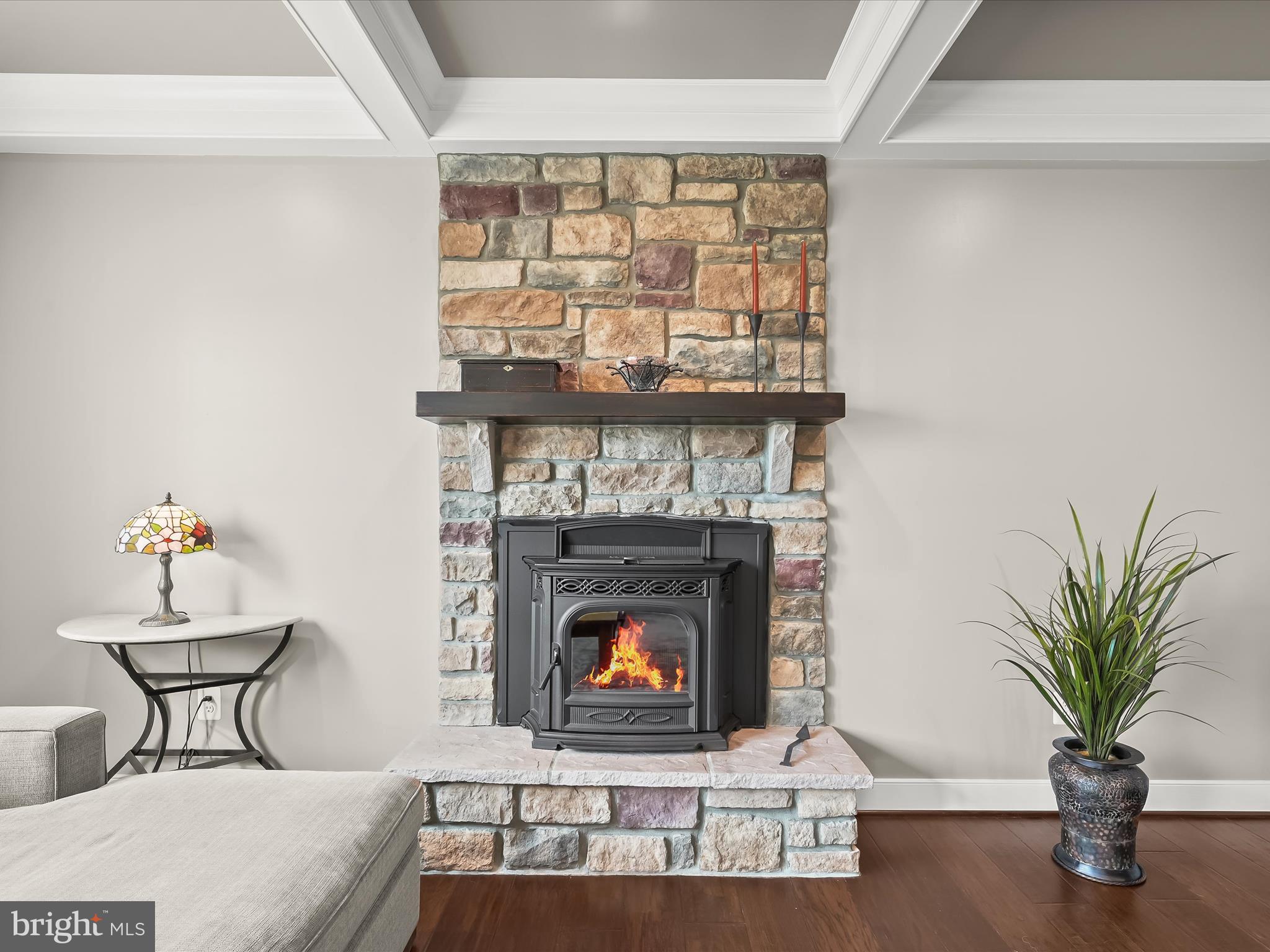 17263 Hardy Road Mount Airy, MD 21771 - Photo 32 of 98 a living room with furniture a fireplace and a potted plant