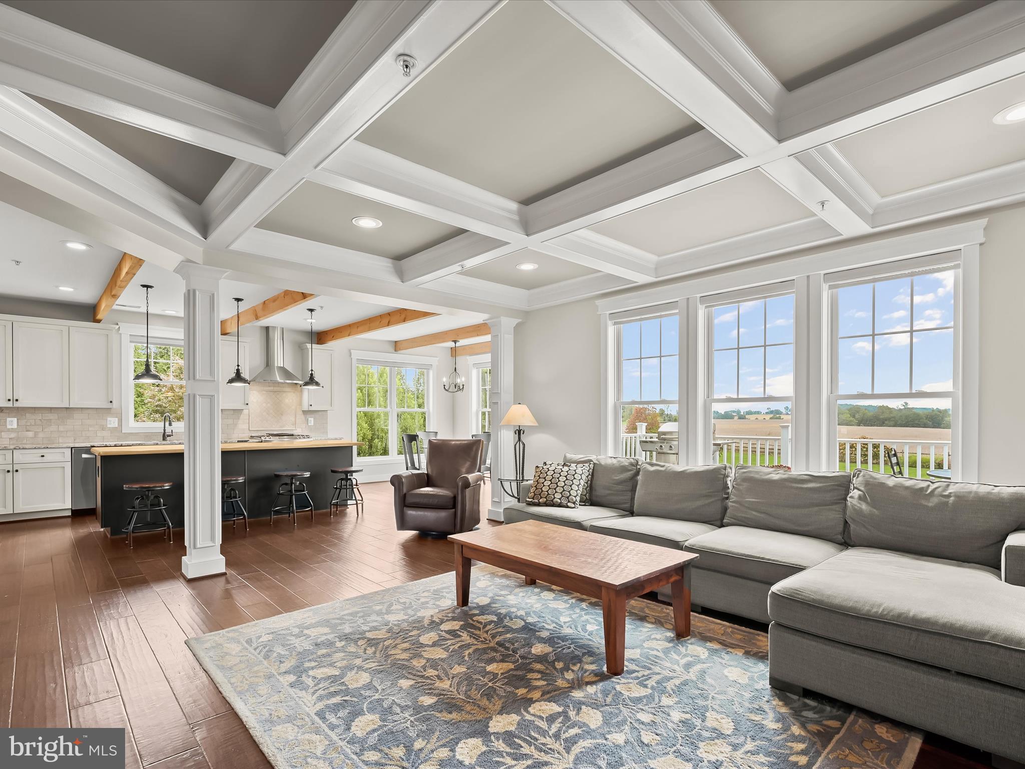 17263 Hardy Road Mount Airy, MD 21771 - Photo 7 of 98 Family Room - Coffered Ceilings