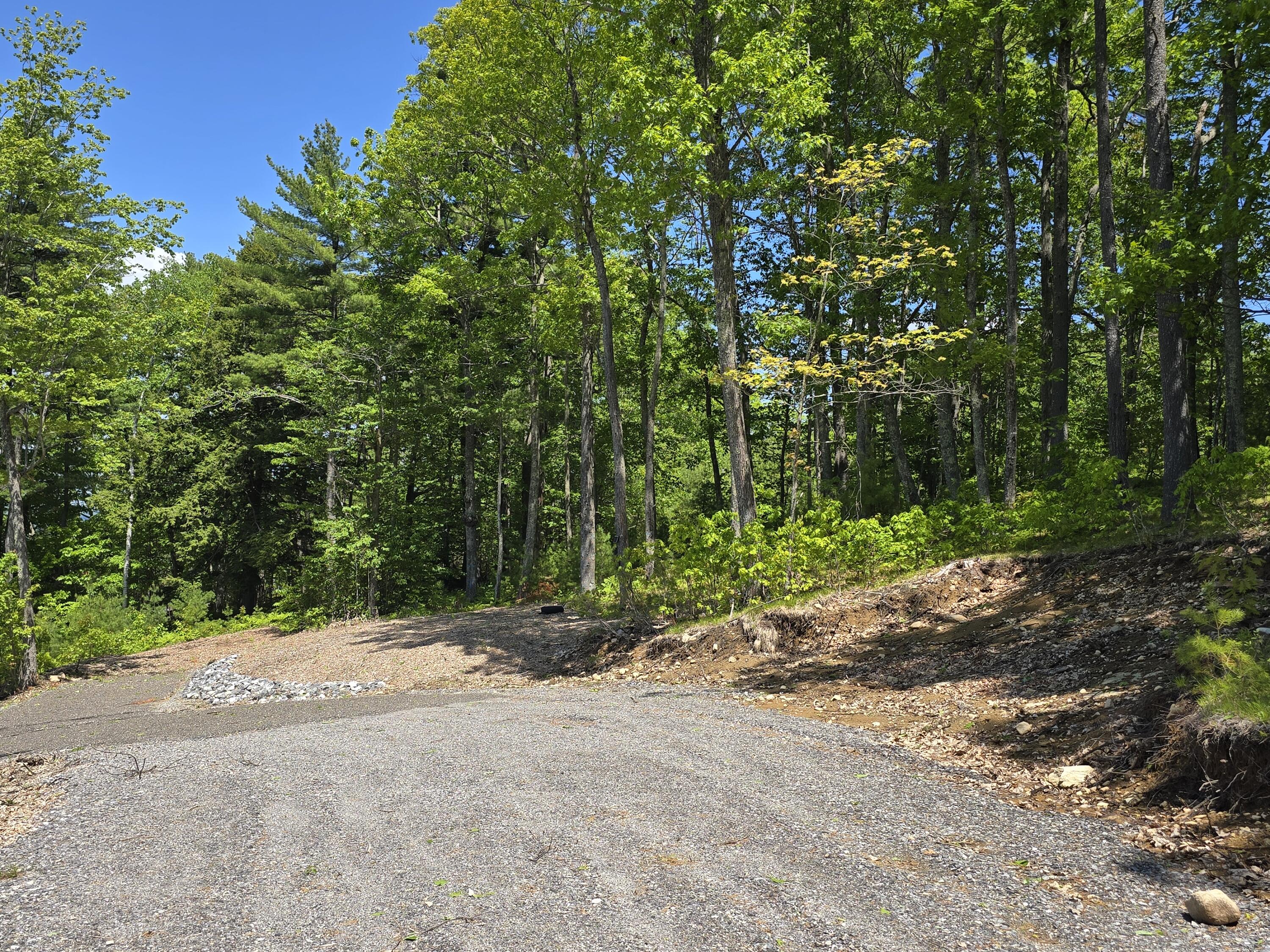 Lot 55 Quaker Ridge Road Casco, ME 04015 - Photo 13 of 13 1000014389