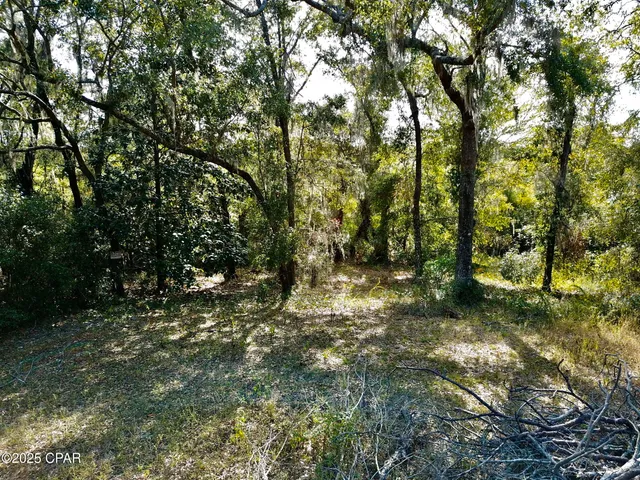 $85,000 | Lot 37 Cove Road, Chipley, FL 32428