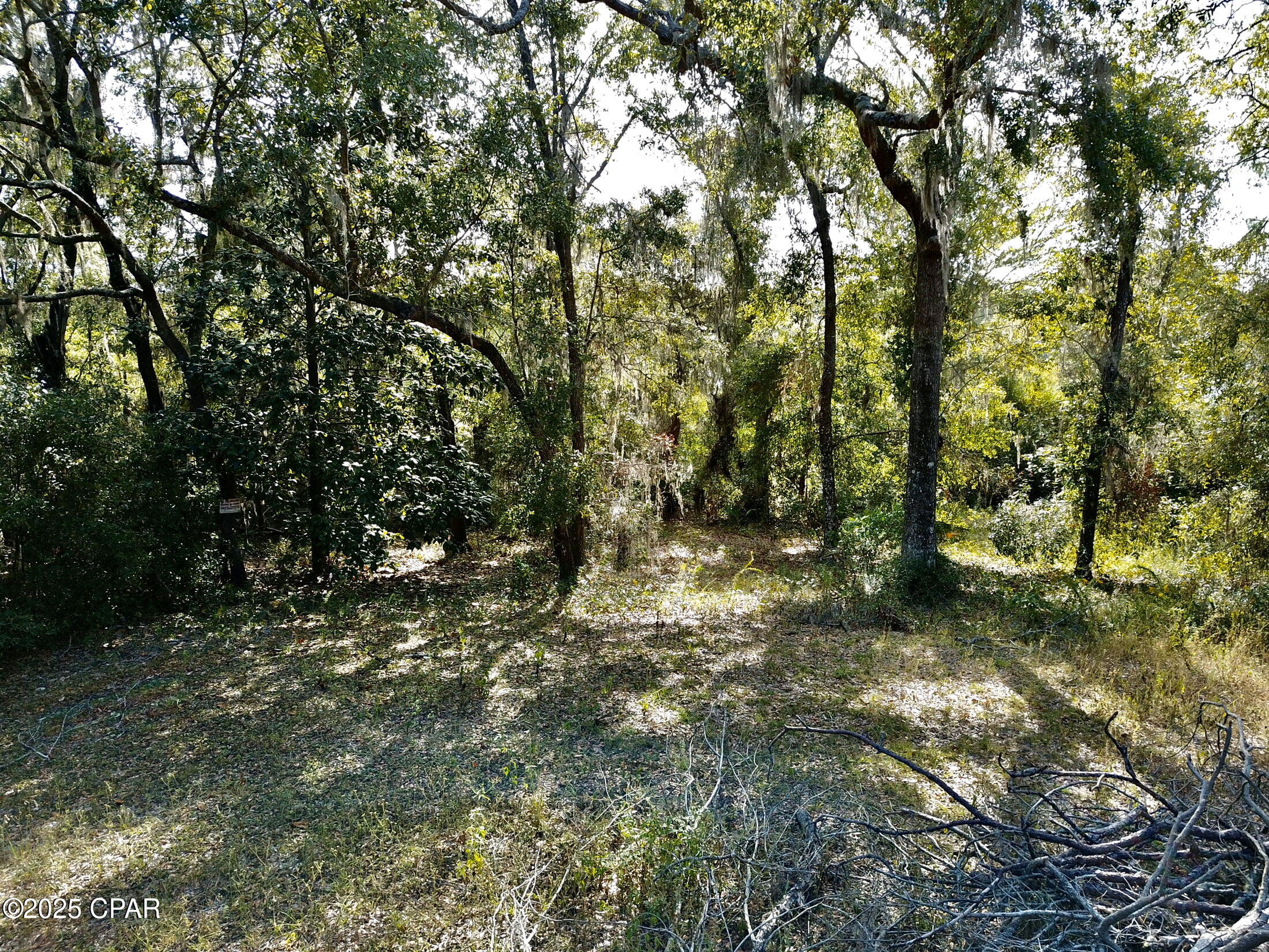 Lot 37 Cove Road Chipley, FL 32428 - Photo 16 of 35