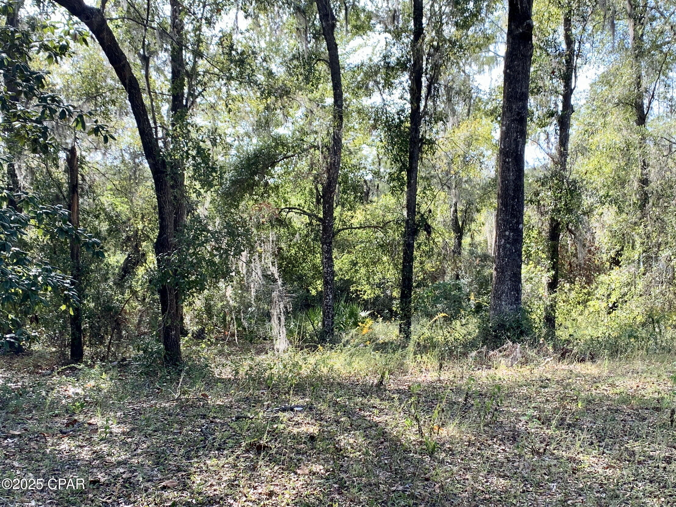 Lot 37 Cove Road Chipley, FL 32428 - Photo 17 of 35