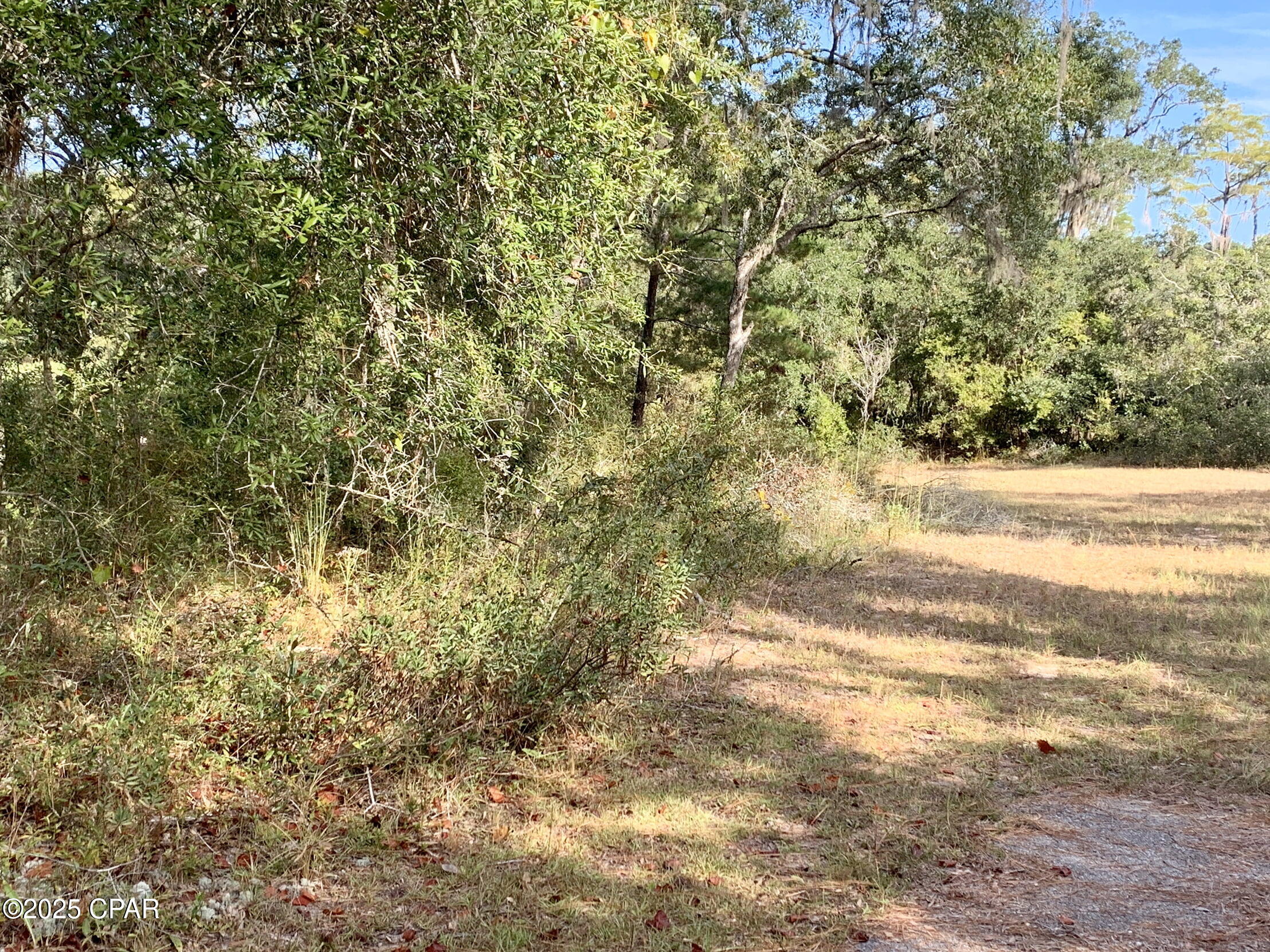 Lot 37 Cove Road Chipley, FL 32428 - Photo 18 of 35