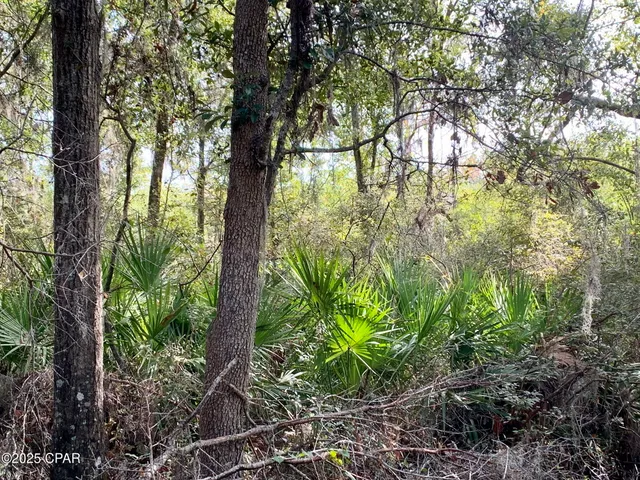 $85,000 | Lot 37 Cove Road, Chipley, FL 32428