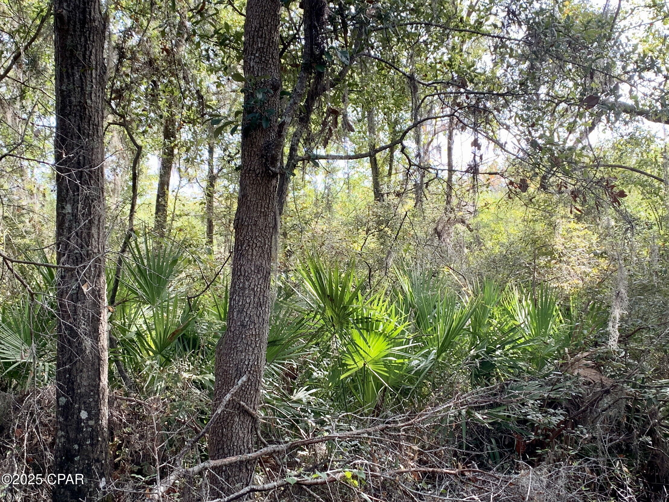 Lot 37 Cove Road Chipley, FL 32428 - Photo 19 of 35