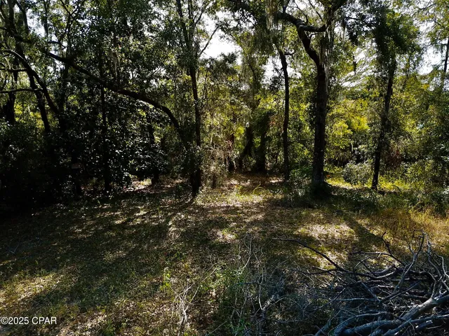 $85,000 | Lot 37 Cove Road, Chipley, FL 32428