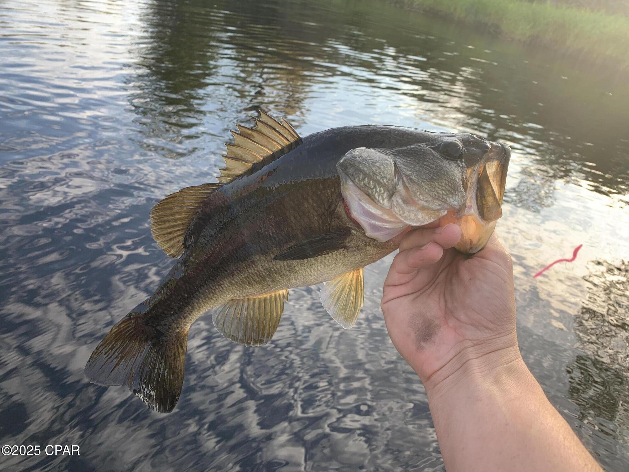 Lot 37 Cove Road Chipley, FL 32428 - Photo 29 of 35