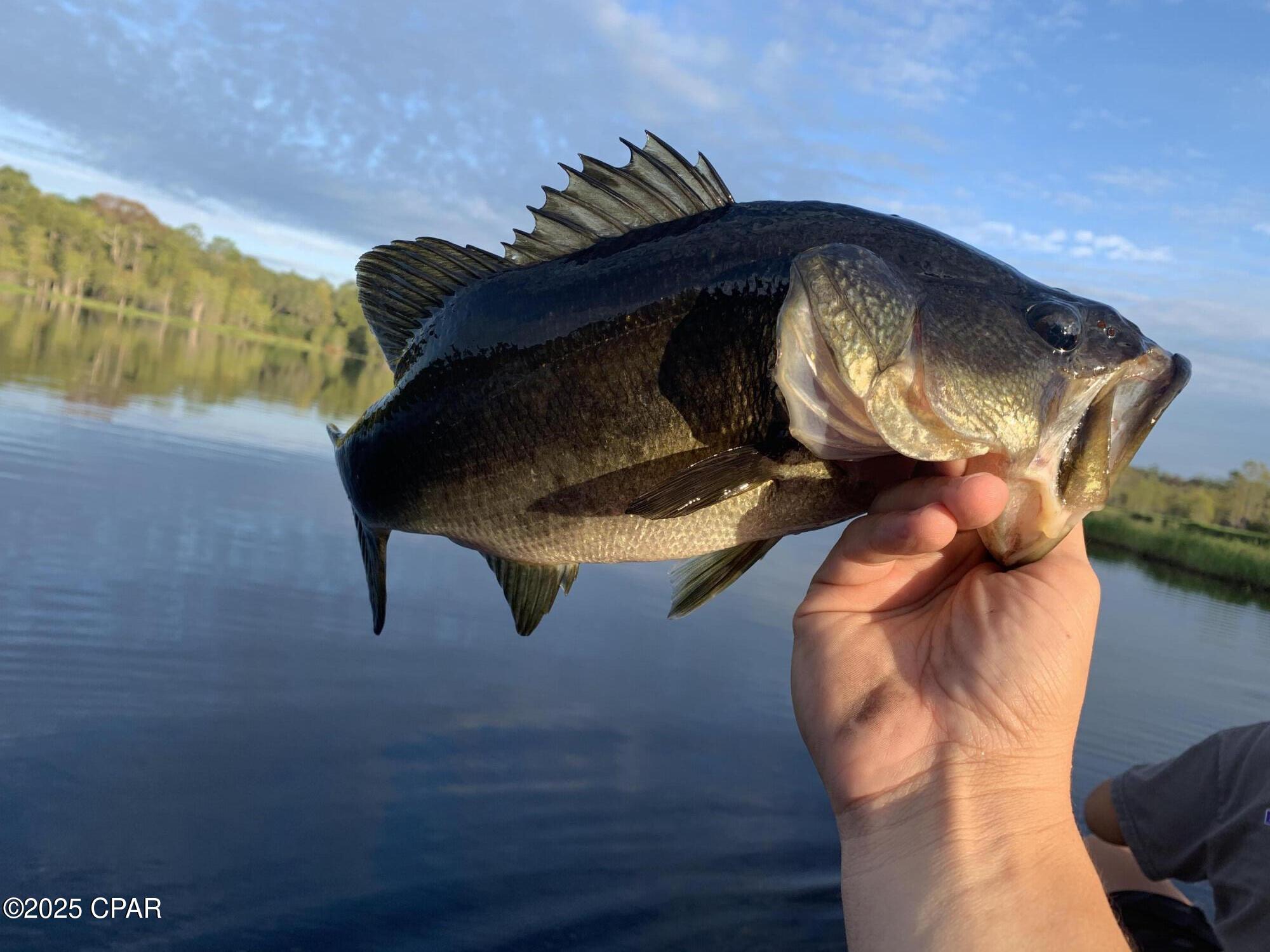 Lot 37 Cove Road Chipley, FL 32428 - Photo 30 of 35