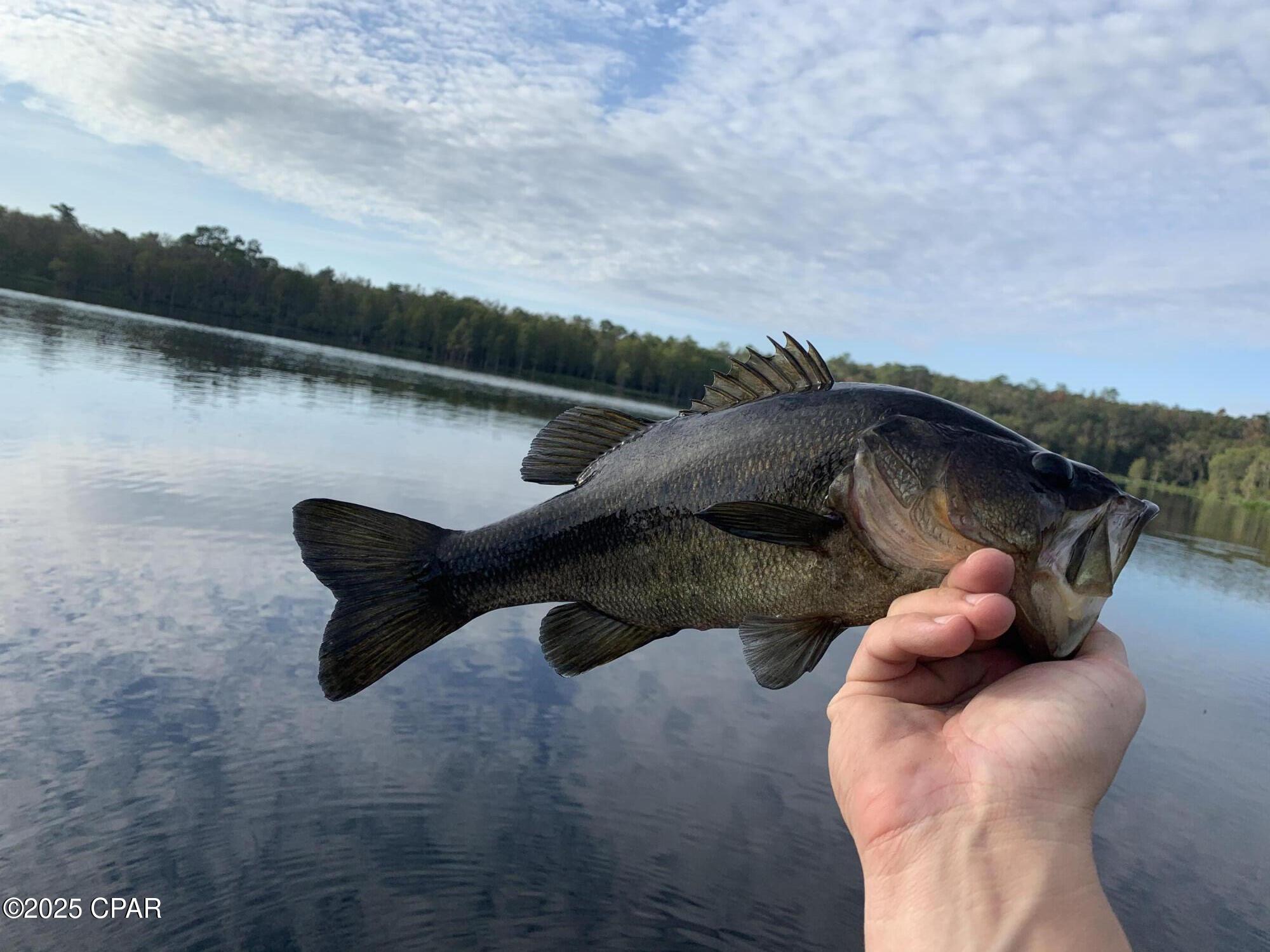 Lot 37 Cove Road Chipley, FL 32428 - Photo 32 of 35