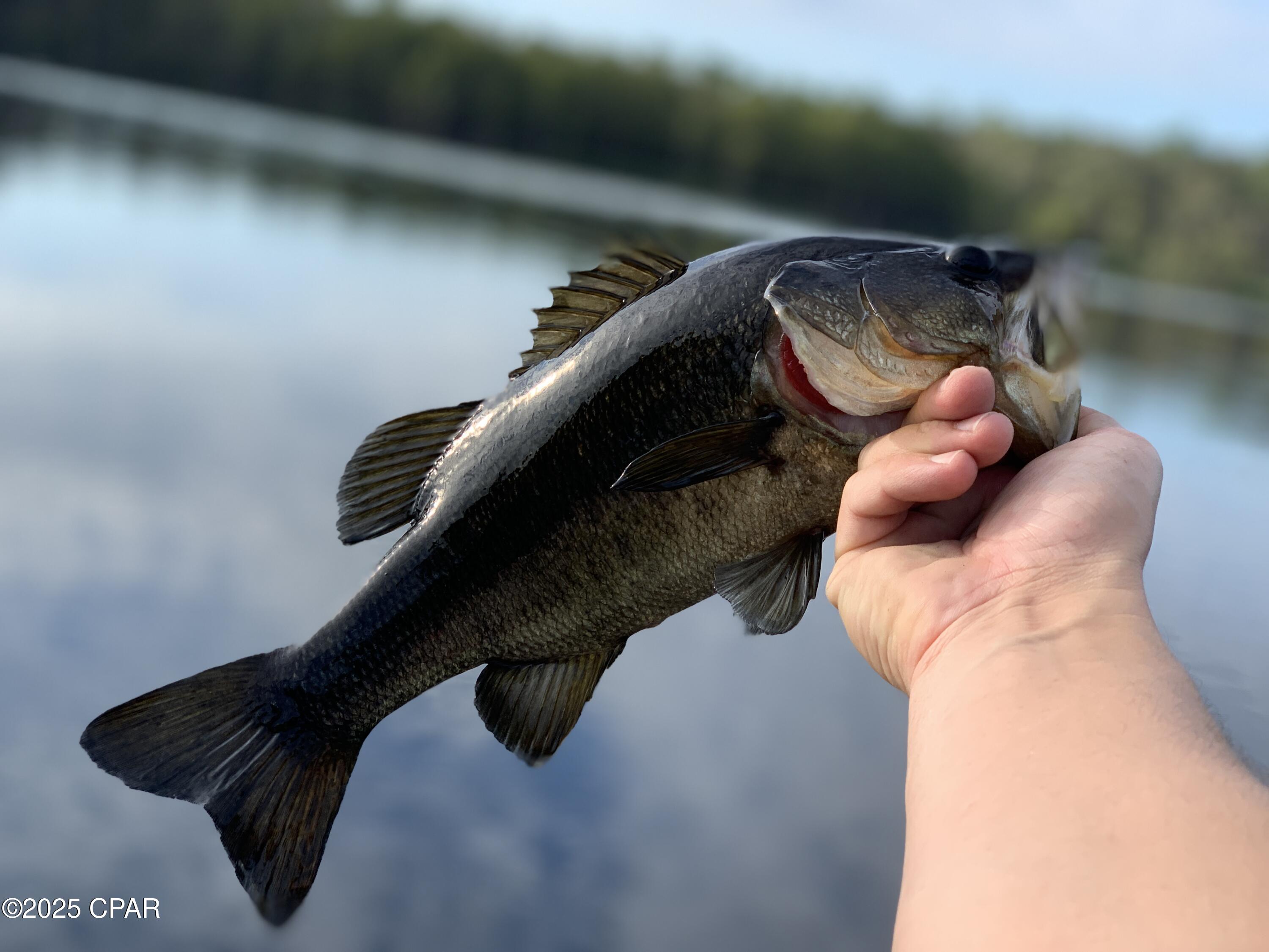 Lot 37 Cove Road Chipley, FL 32428 - Photo 33 of 35