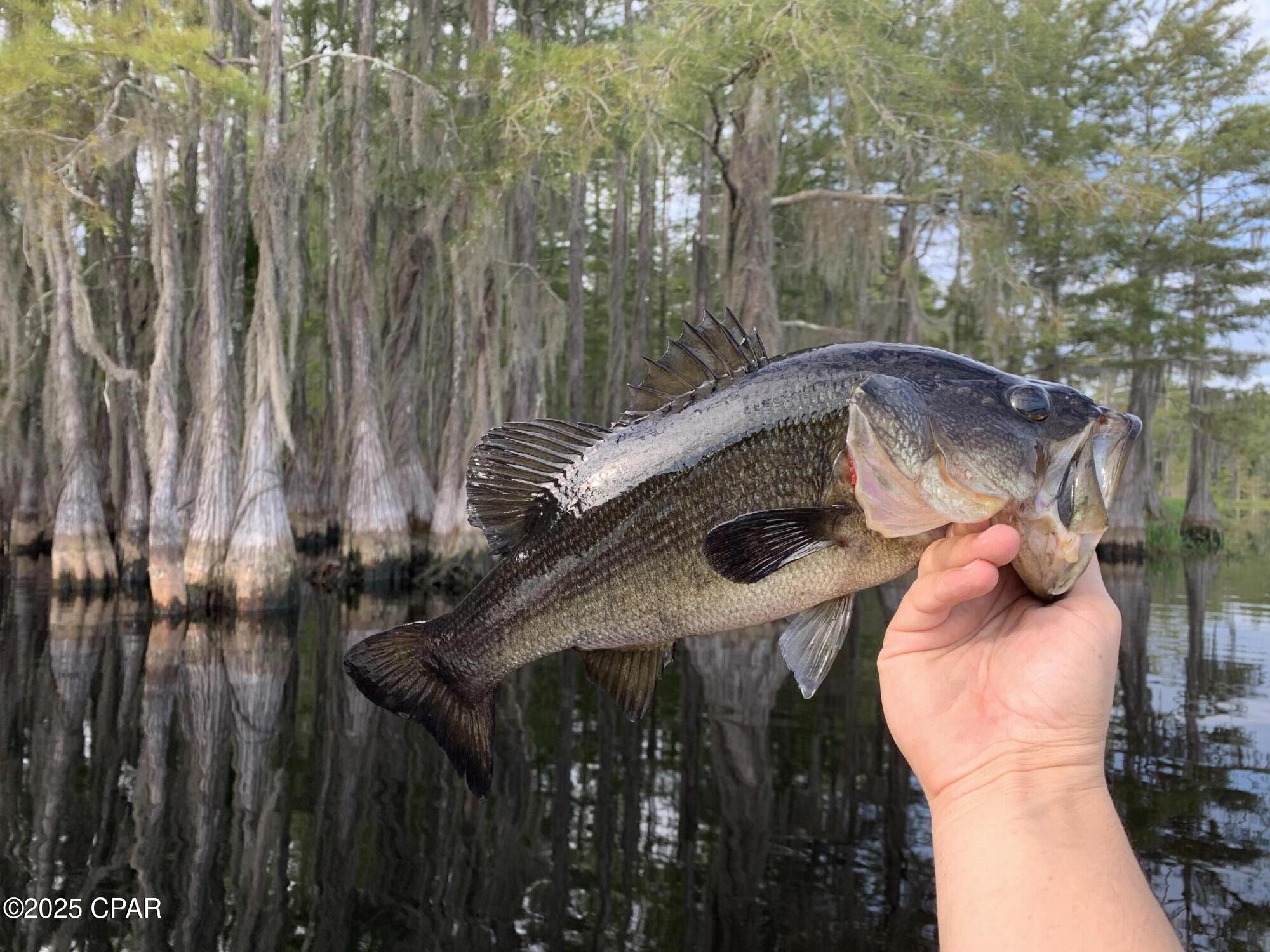 Lot 37 Cove Road Chipley, FL 32428 - Photo 34 of 35