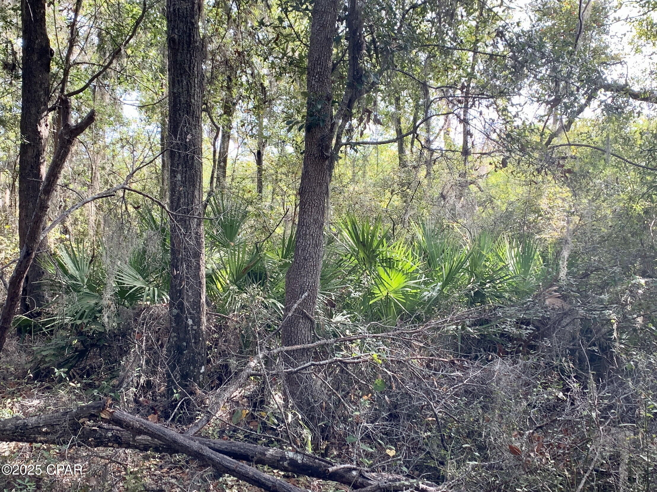 Lot 37 Cove Road Chipley, FL 32428 - Photo 6 of 35