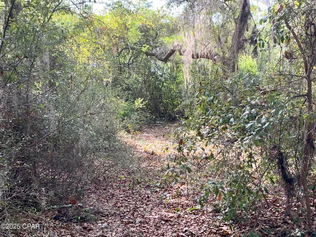 $85,000 | Lot 37 Cove Road, Chipley, FL 32428