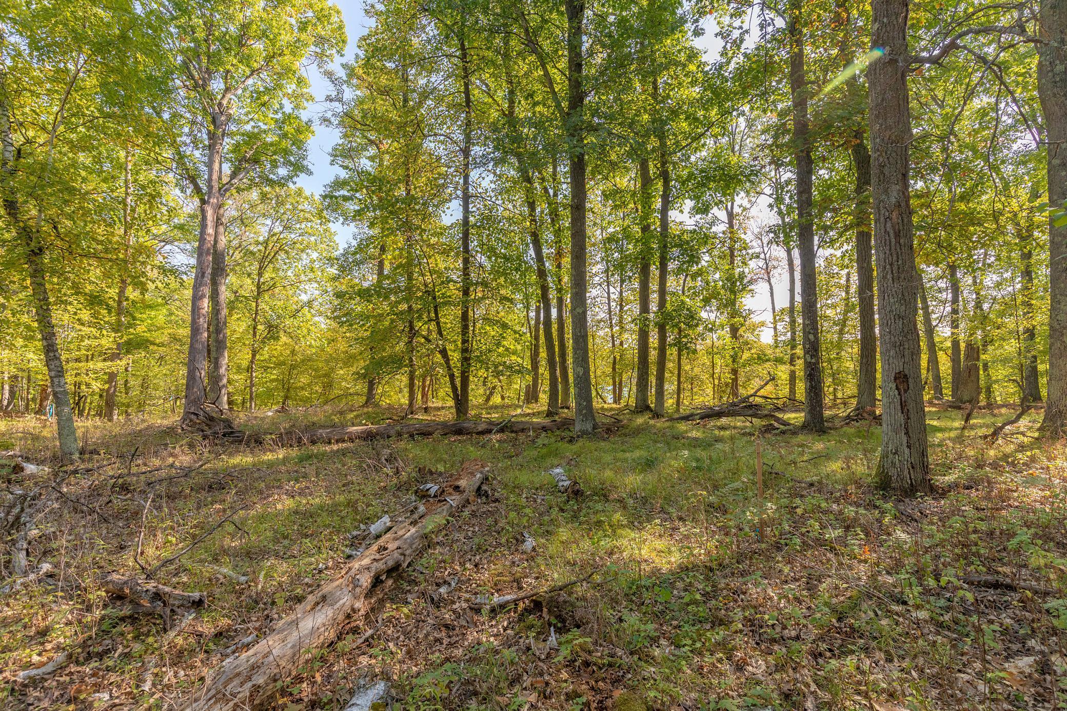 Lot 9 Lost Lake Road Lake Shore, MN 56468 - Photo 1 of 1 Gallery Image 1