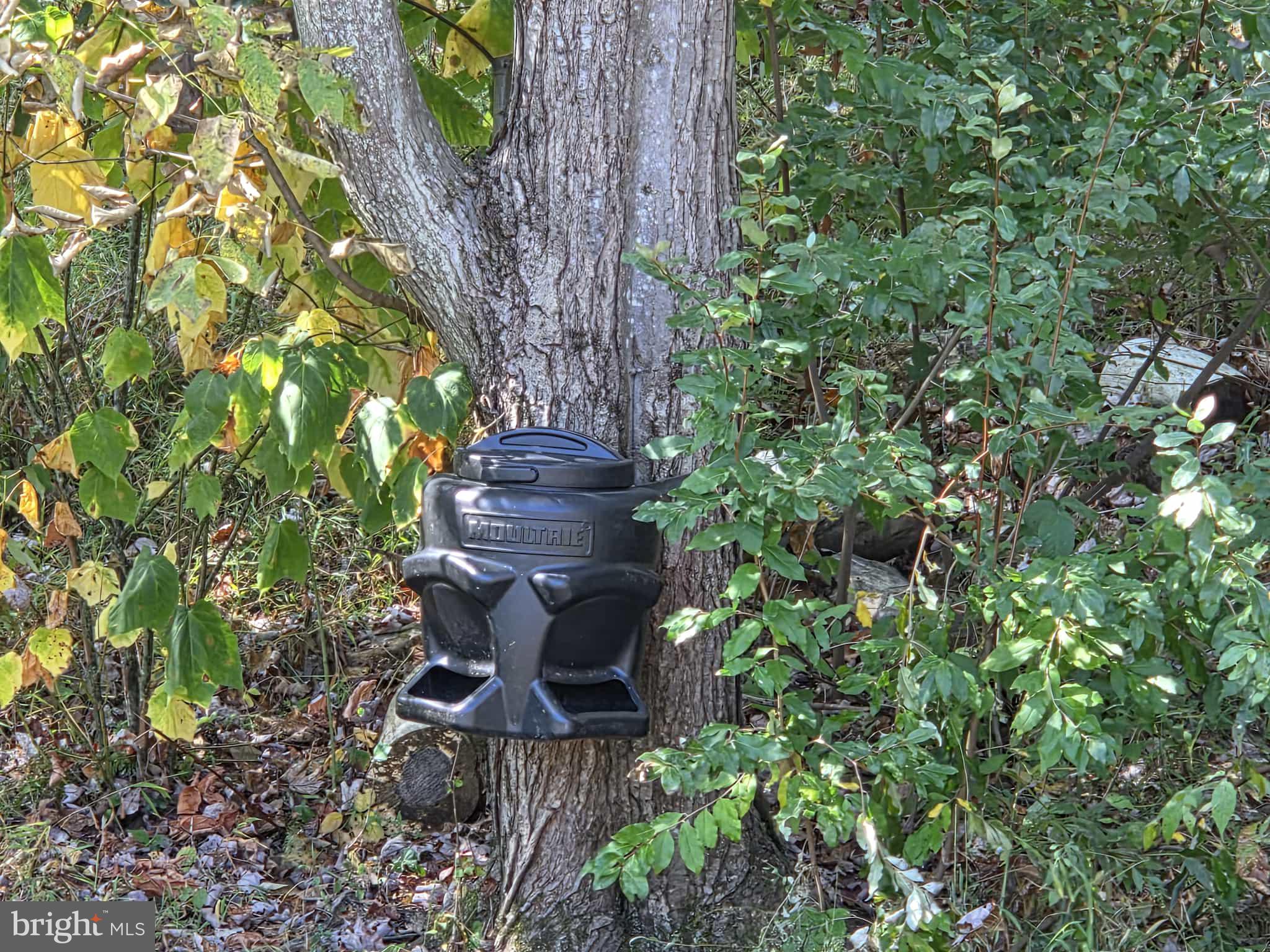 198 North Hunter Run Road Howard, PA 16841 - Photo 22 of 72 deer feeder