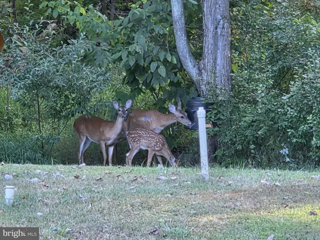 $599,000 | 198 North Hunter Run Road, Howard, PA 16841