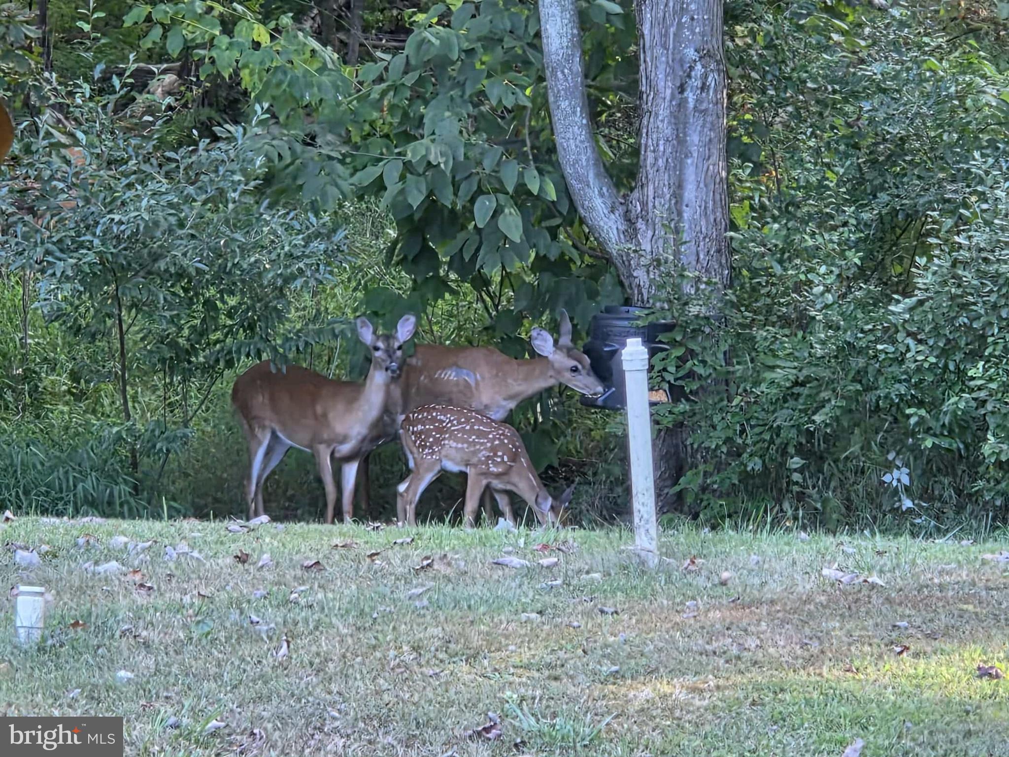 198 North Hunter Run Road Howard, PA 16841 - Photo 67 of 72