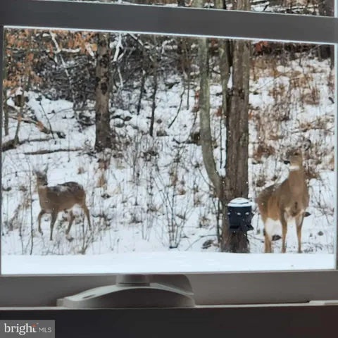 $599,000 | 198 North Hunter Run Road, Howard, PA 16841