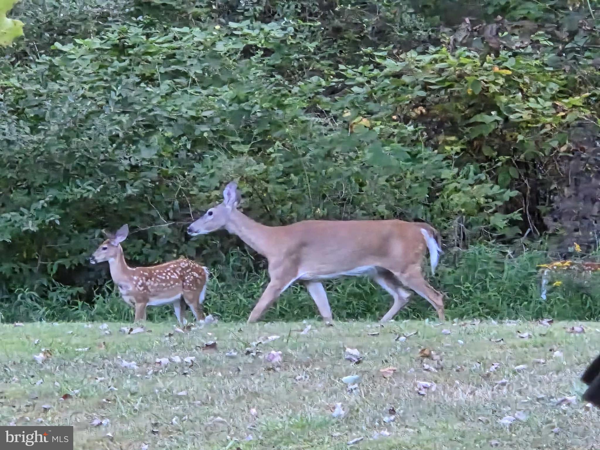 198 North Hunter Run Road Howard, PA 16841 - Photo 69 of 72