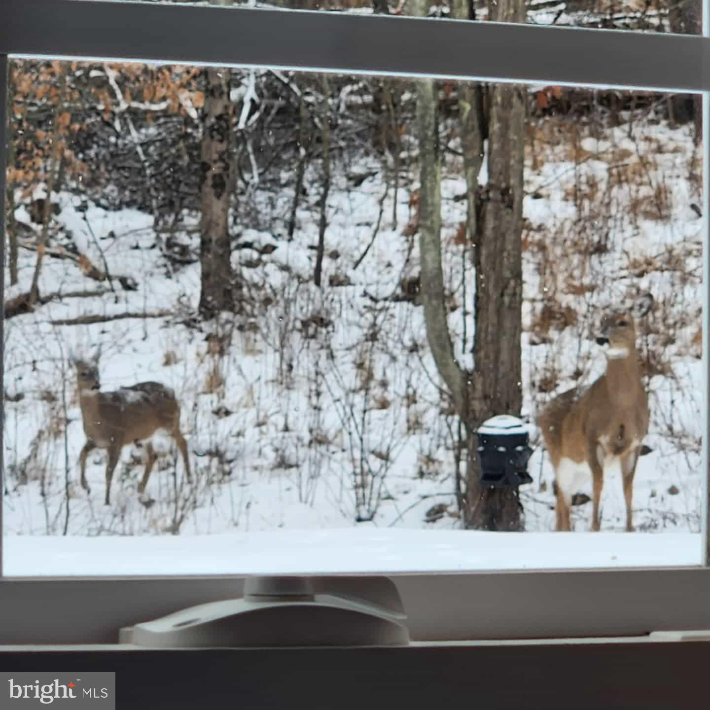 198 North Hunter Run Road Howard, PA 16841 - Photo 70 of 72