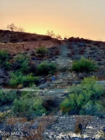 a view of a city with lush green forest