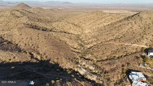 a view of a dry yard with large trees