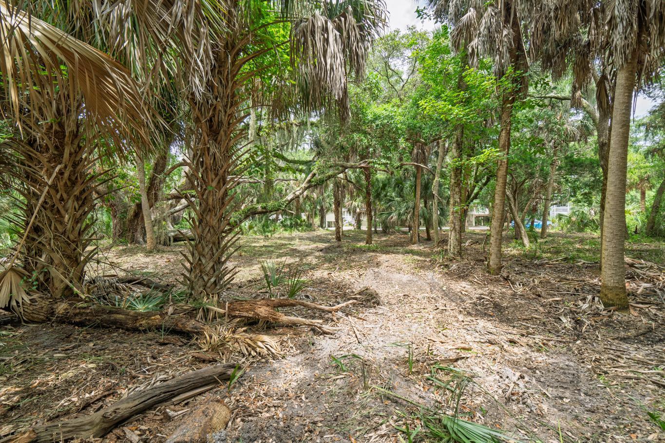 3322 Myrtle Street Edisto Island, SC 29438 - Photo 10 of 26