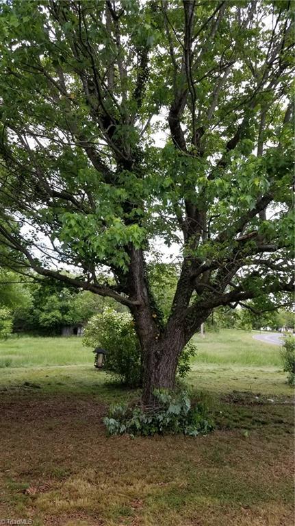 532 Dobbins Mill Road Elkin, NC 28621 - Photo 14 of 15 One of several mature trees on the land which provide nice shade