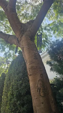 $1,750 | 1616 Michigan Avenue, Unit 11, Miami Beach, FL 33139