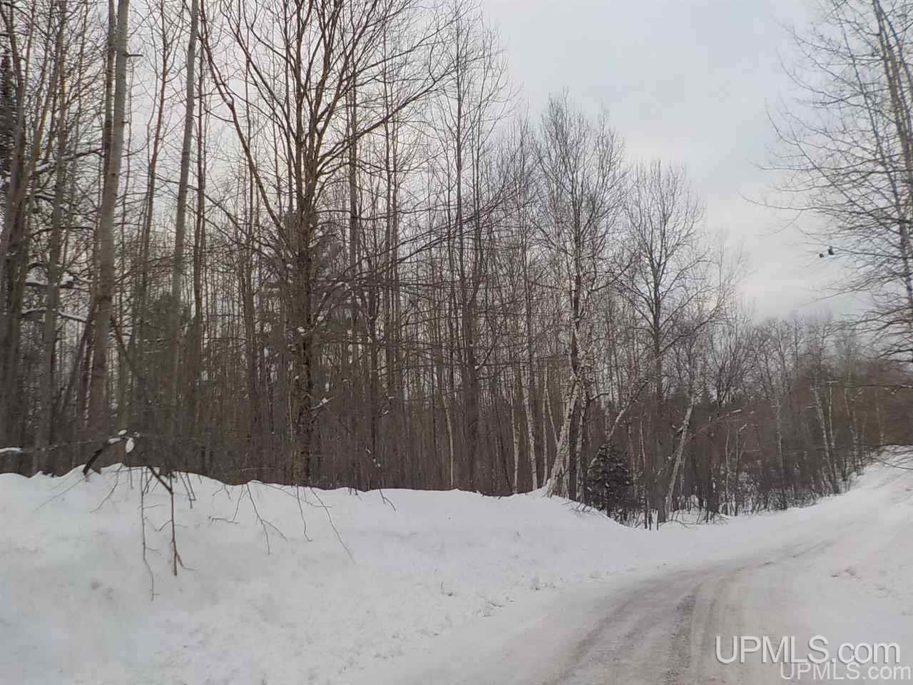 39.30-ac Armstrong Lake Road Crystal Falls, MI 49920 - Photo 22 of 24