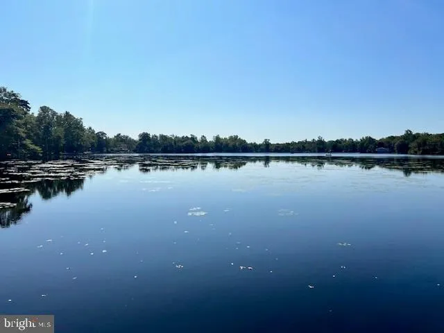 a view of a lake with houses in the back