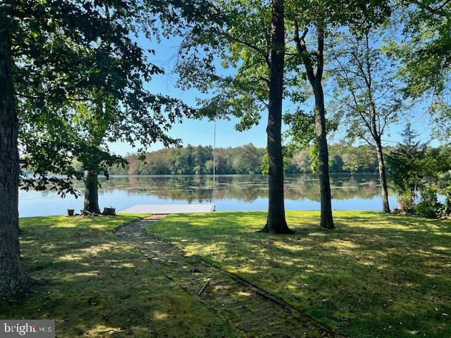 26 Silver Lake Road Clayton, NJ 08312 - Photo 8 of 15 a view of a park with large trees