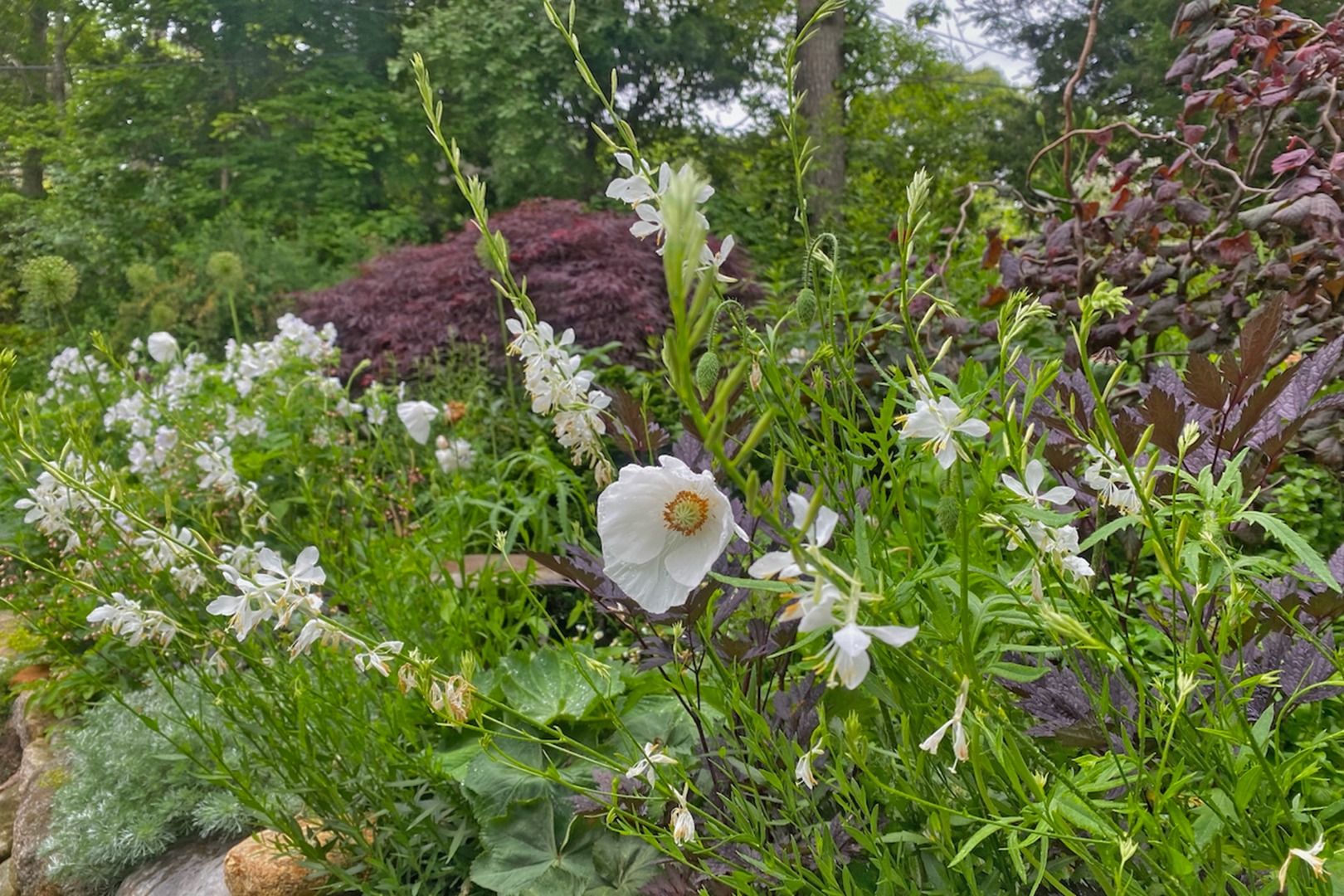 31 N Road Chilmark, MA 02535 - Photo 21 of 22