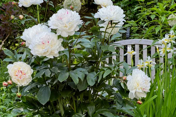 $1,200,000 | 31 N Road, Chilmark, MA 02535